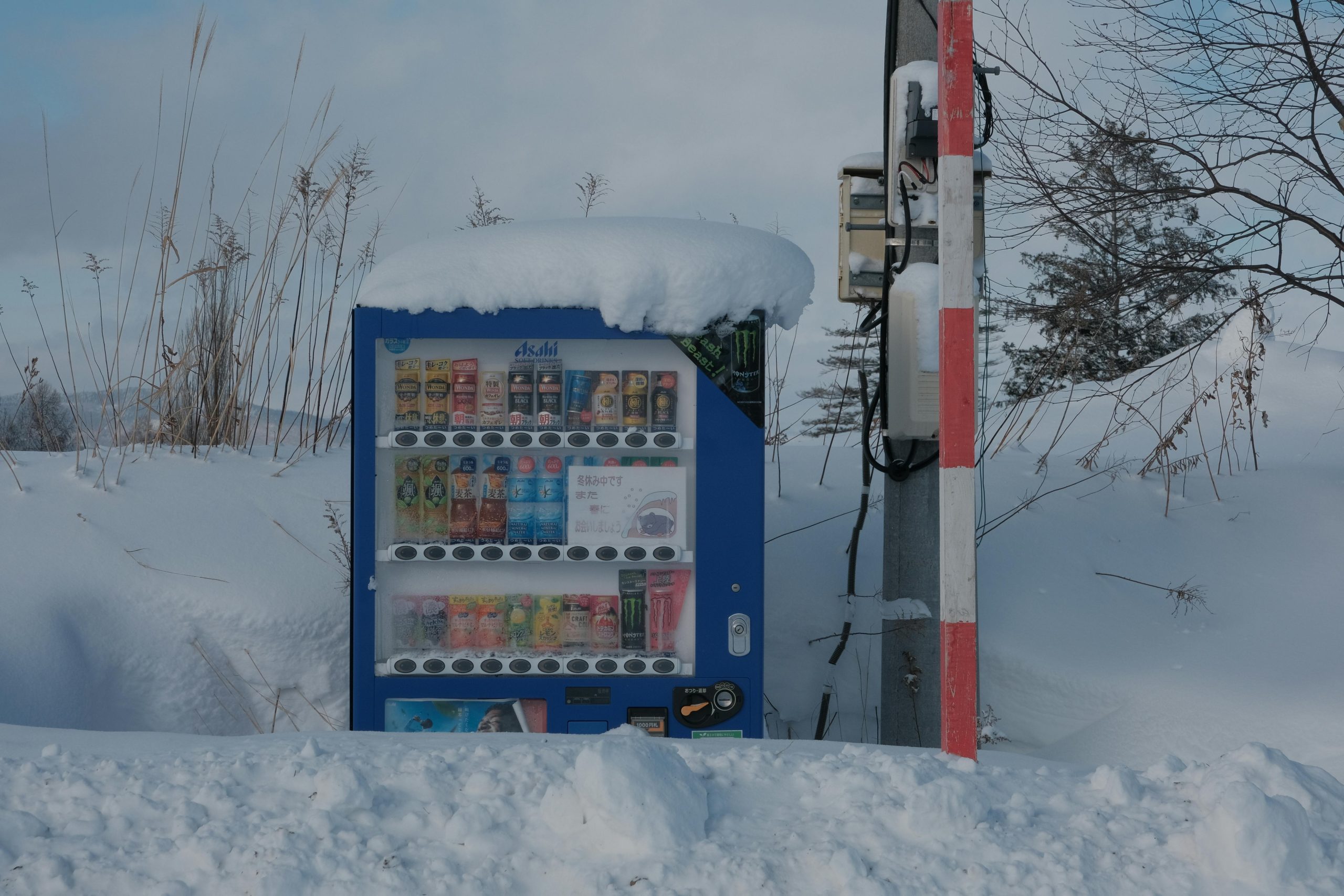 Commercial Snow Removal Services