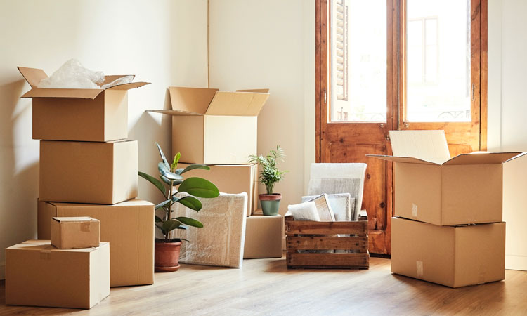 Senior moving companies